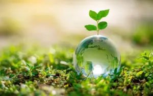 Green Living Innovation: Beyond Basic Sustainability to Offering Eco-Living