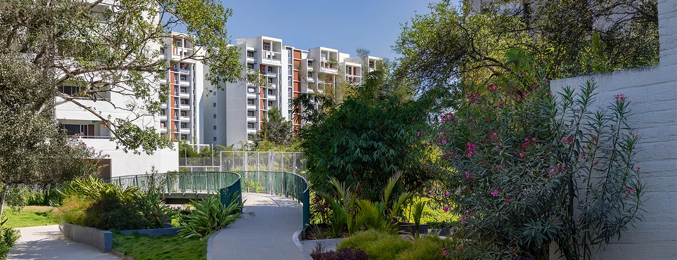 The Future of Real Estate: How Bricks and Milestones Leads Through Innovative Design