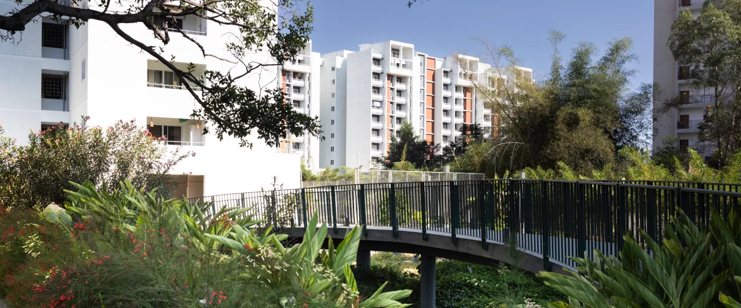 The Rise of Antifragile Homes in Modern Cities